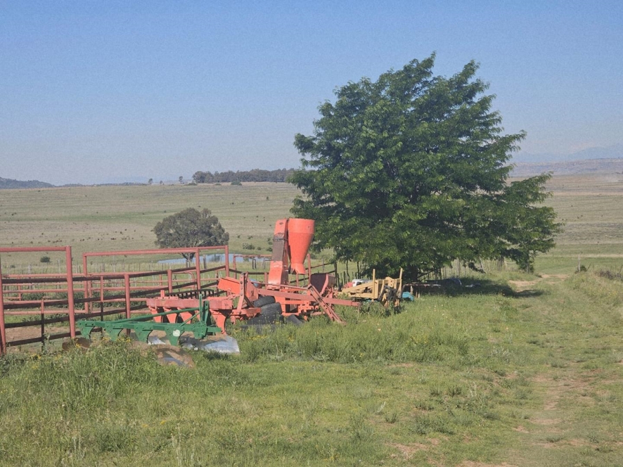 17 Bedroom Property for Sale in Ladybrand Free State